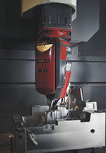 p1.jpg